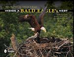Gorrow, T: Inside a Bald Eagle's Nest