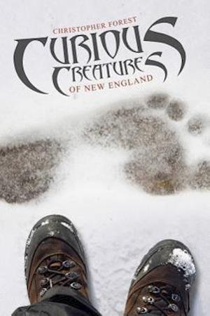 Curious Creatures of New England