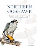 Northern Goshawk, the Gray Ghost