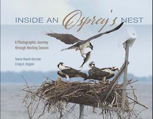 Inside an Osprey's Nest