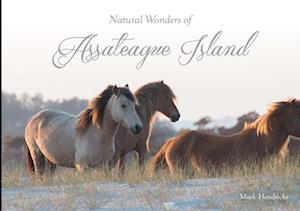 Natural Wonders of Assateague Island