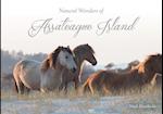 Natural Wonders of Assateague Island