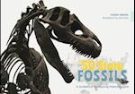 The 50 State Fossils