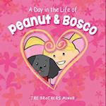 A Day in the Life of Peanut & Bosco