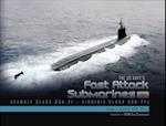 The Us Navy's Fast-Attack Submarines, Vol. 2