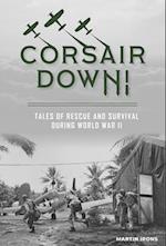 Corsair Down!: Tales of Rescue and Survival During World War II