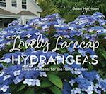 Lovely Lacecap Hydrangeas