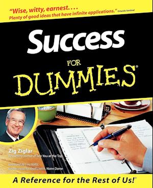 Success For Dummies