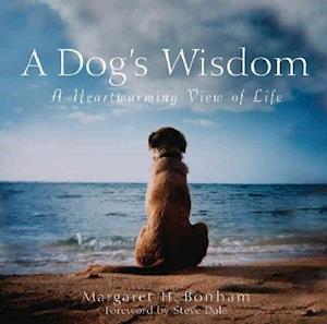 A Dog's Wisdom