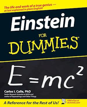 Einstein for Dummies