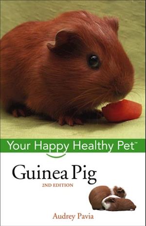 Guinea Pig