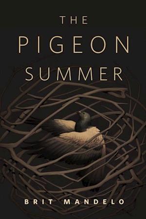 Pigeon Summer