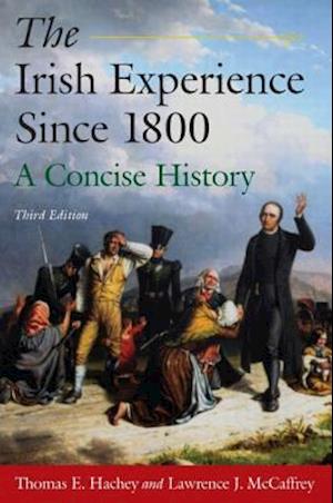 The Irish Experience Since 1800: A Concise History