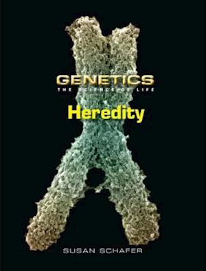 Heredity