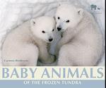 Baby Animals of the Frozen Tundra