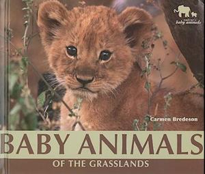 Baby Animals of the Grasslands