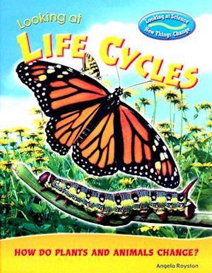 Looking at Life Cycles