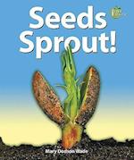 Seeds Sprout!