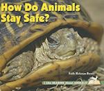 How Do Animals Stay Safe?