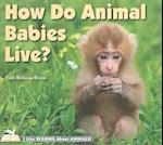 How Do Animal Babies Live?