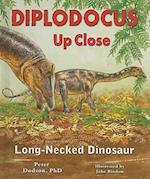 Diplodocus Up Close