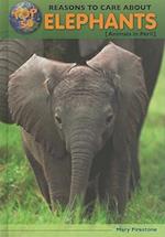 Top 50 Reasons to Care about Elephants