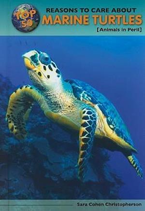 Top 50 Reasons to Care about Marine Turtles