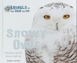 Snowy Owls