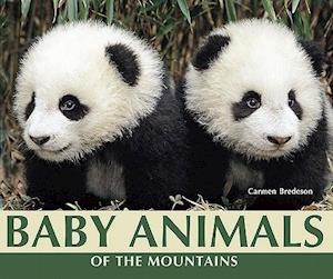 Baby Animals of the Mountains