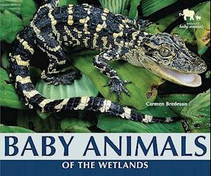 Baby Animals of the Wetlands