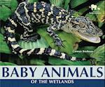 Baby Animals of the Wetlands