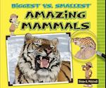 Biggest vs. Smallest Amazing Mammals