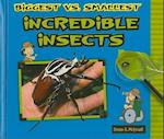 Biggest vs. Smallest Incredible Insects