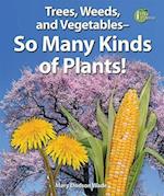 Trees, Weeds, and Vegetables - So Many Kinds of Plants!