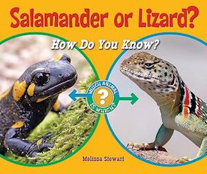 Salamander or Lizard?