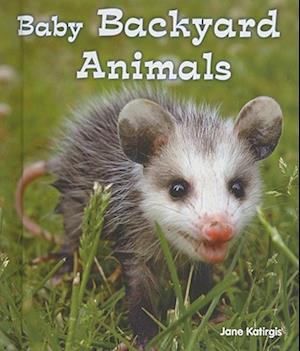 Baby Backyard Animals