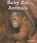 Baby Zoo Animals