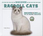 Discover Ragdoll Cats