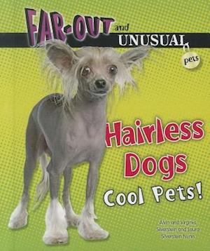 Hairless Dogs