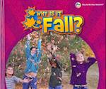 Why Is It Fall?
