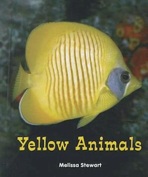 Yellow Animals