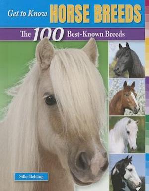 Get to Know Horse Breeds