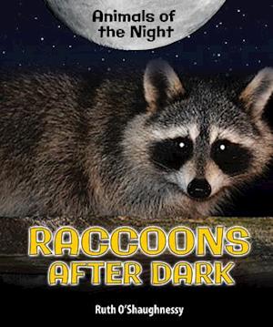 Raccoons After Dark