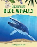 Endangered Blue Whales