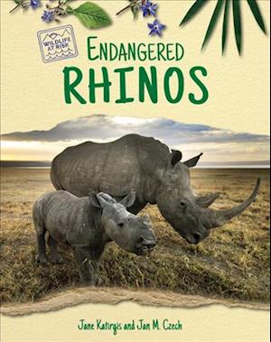 Endangered Rhinos