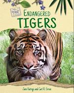 Endangered Tigers