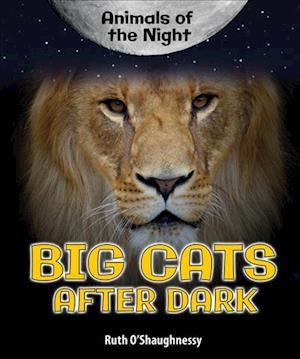 Big Cats After Dark