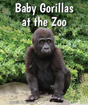 Baby Gorillas at the Zoo
