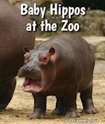 Baby Hippos at the Zoo