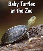 Baby Turtles at the Zoo